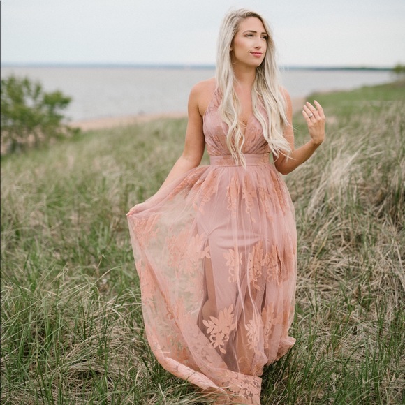 Vici Dresses & Skirts - VICI Blush Appliqué Dress
